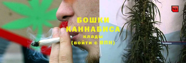 шишки Аркадак