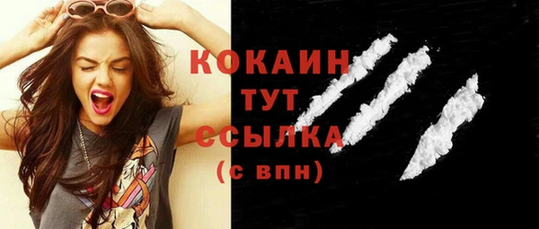 шишки Аркадак