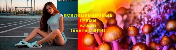 твердый Арсеньев