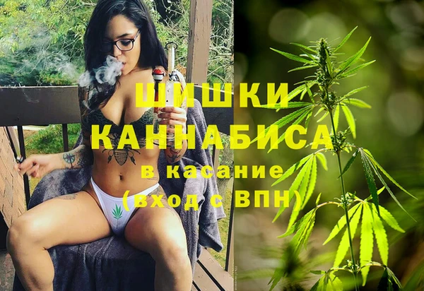 шишки Аркадак