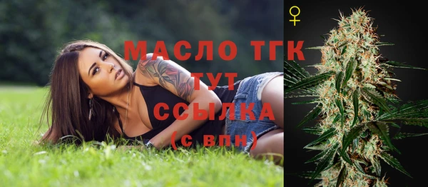 твердый Арсеньев