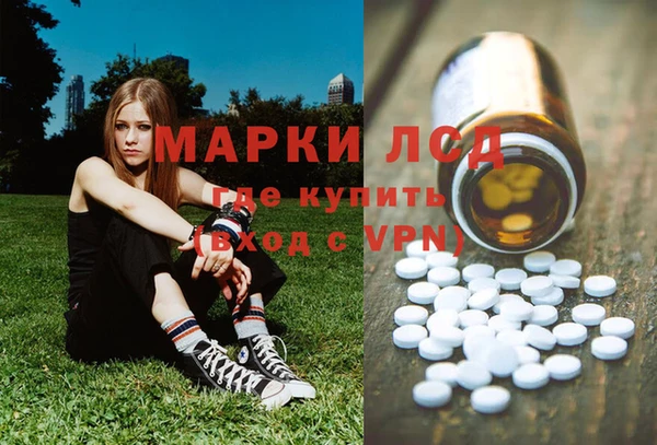 шишки Аркадак