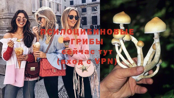 шишки Аркадак